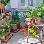House With Sea View&garden In Nerezine