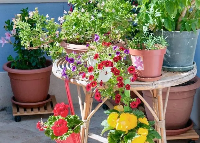 House With Sea View And Garden In Нерезине